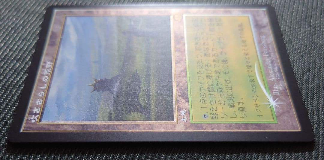 mtg 国産プレブ産 吹きさらしの荒野 旧枠 FOIL 日本語版 mh3