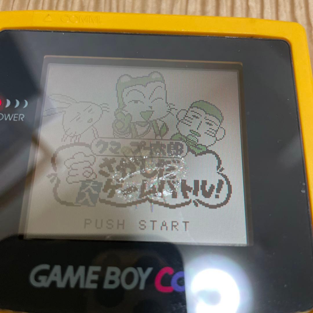 【激レア】クマのプー太郎 宝さがしだ大入りゲームバトル