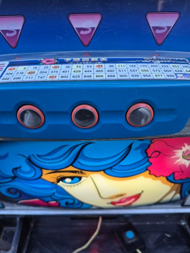 赤*目様 ビッグシオ30 実機　不要機