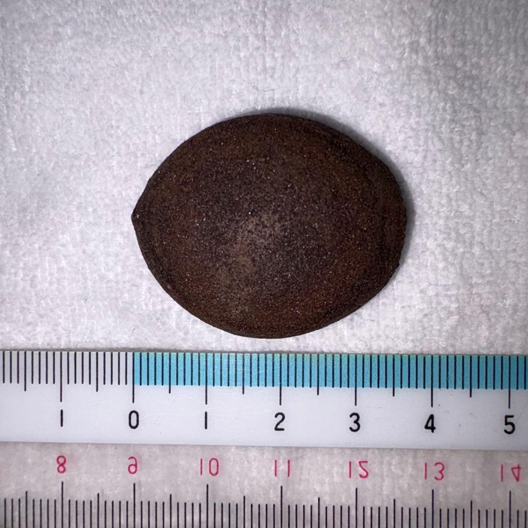 [希少] ボージーストーンBoji Alive STONES 2個セット