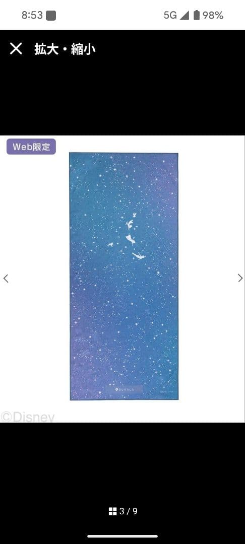 SUKALA　Disney Print Yogi Rug ピーターパン