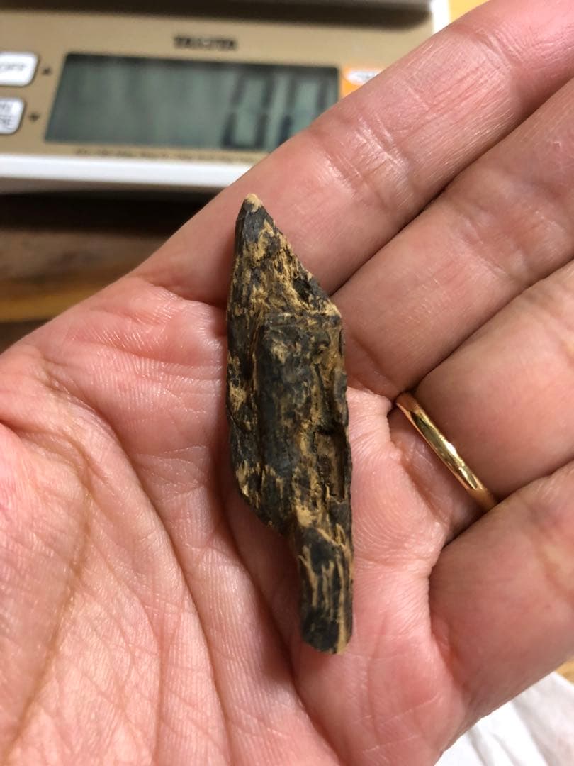 ベトナム産高品質沈香伽羅2g香木水に沈みます。