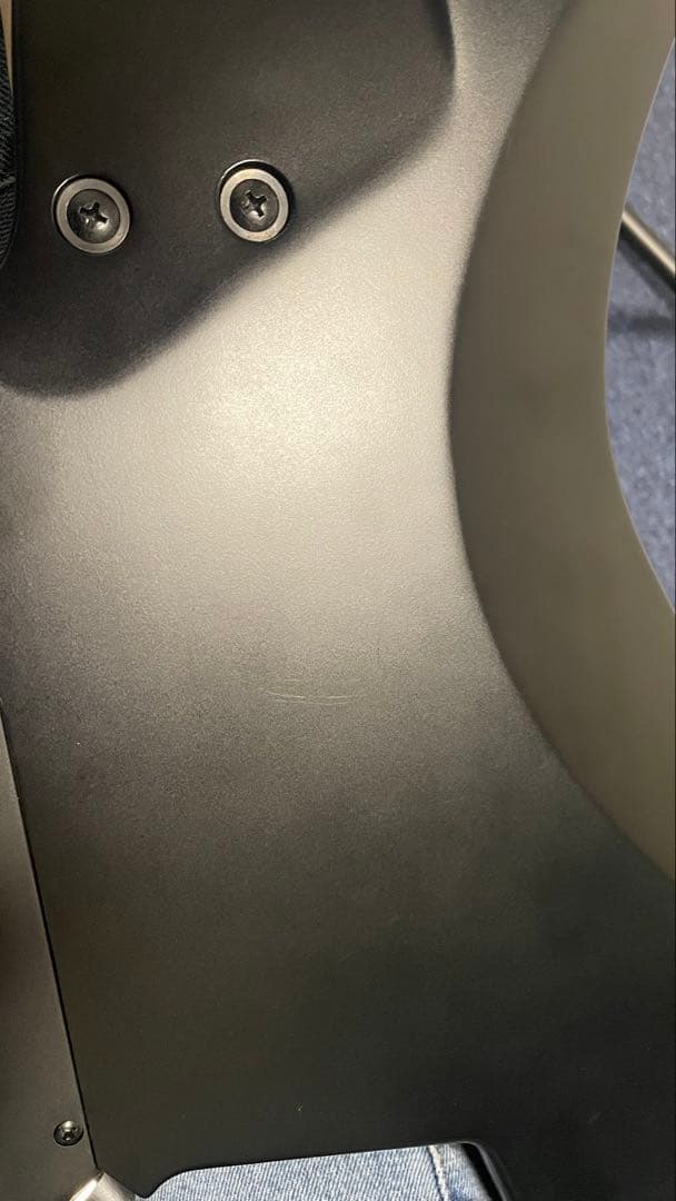 strandberg boden ras6 ギター本体・ケースのみ