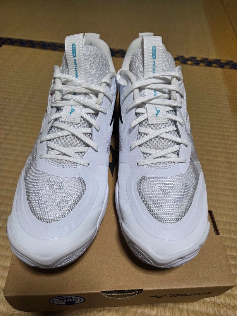 ミズノ　バレーボールシューズ　モーメンタムエリート　ワイド　Low