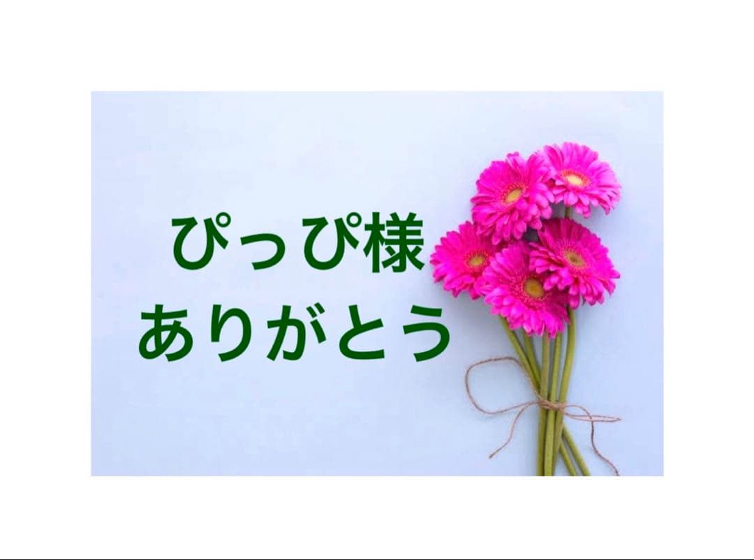 ぴっぴページ2点