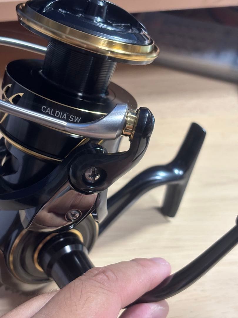 ダイワ CALDIA カルディア SW 10000 P
