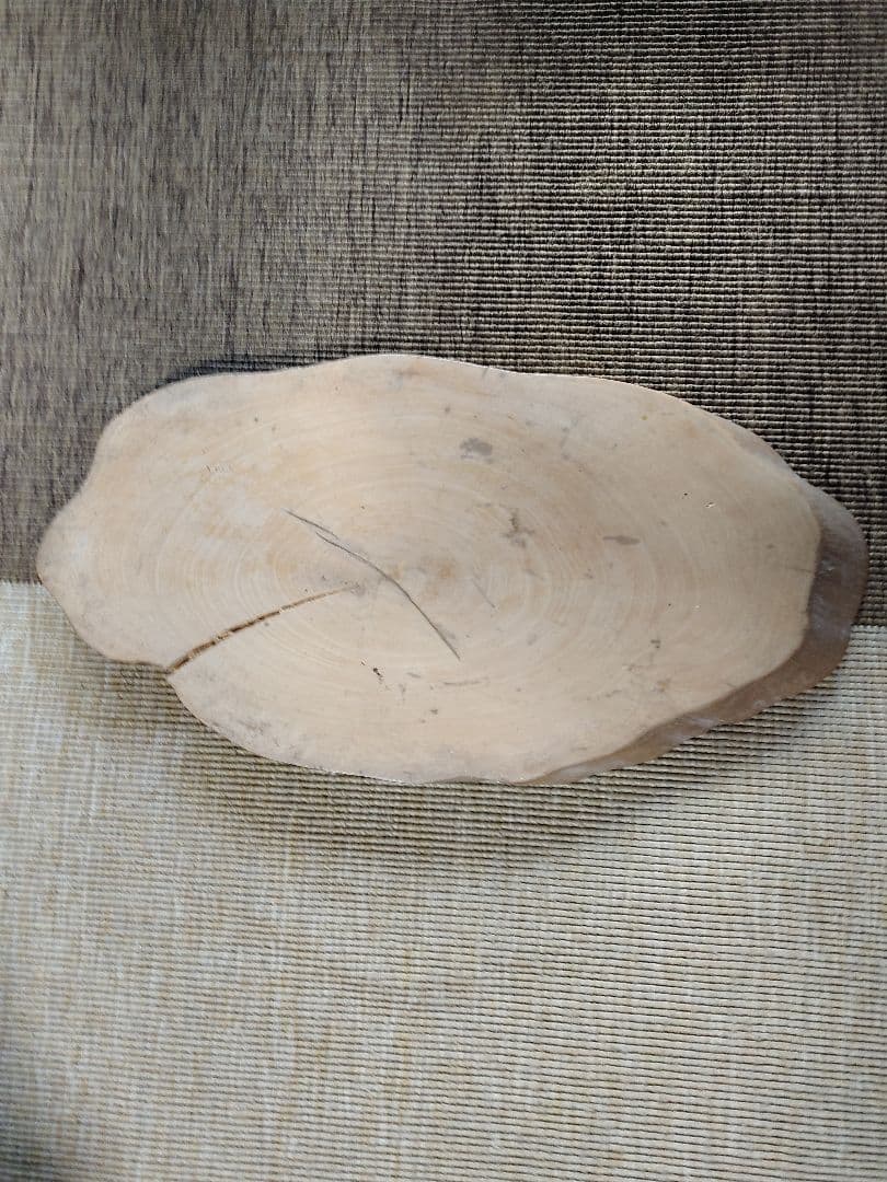 多分　柘植の年輪板