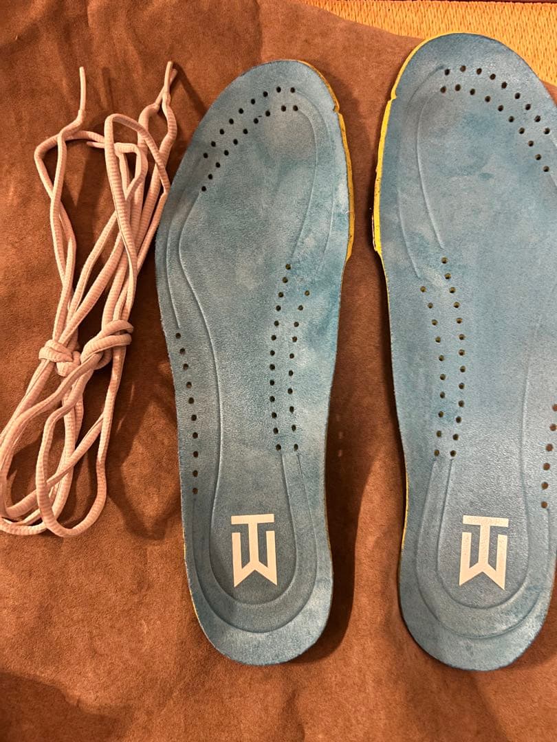 NIKE ナイキ ゴルフシューズTW'13 29cm