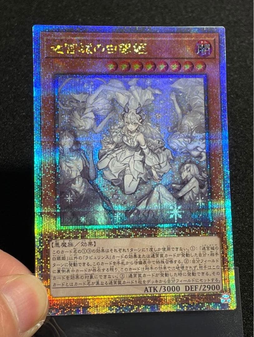 迷宮城の白銀姫　絵違い　25th クオシク　QCAC-JP011 日版　②