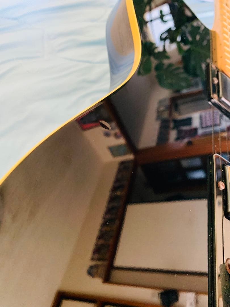 【SCHECTER】シェクターUSA☆エレキギター☆テレキャスター☆バーズアイ