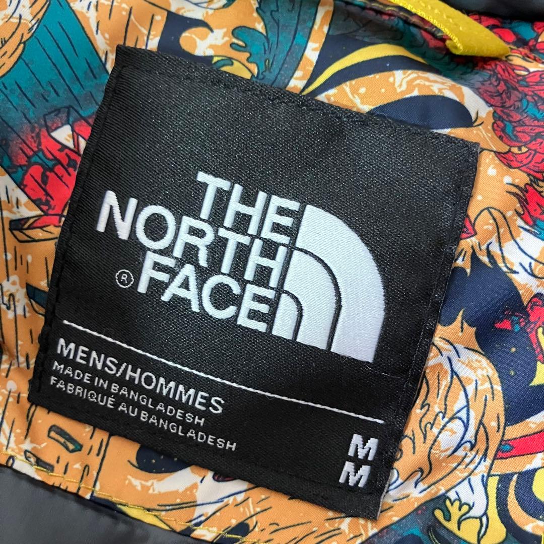 日本未発売 ノースフェイス 総柄 マルチカラー ダウンジャケット/M