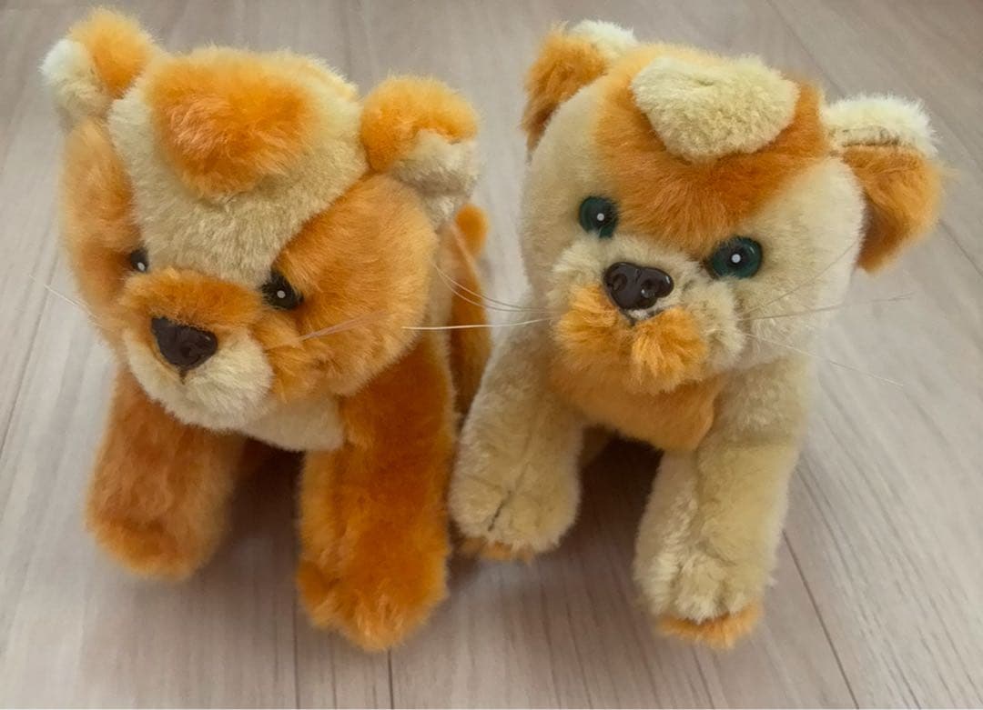 ⭐︎MISIA ハートのレオナ⭐︎