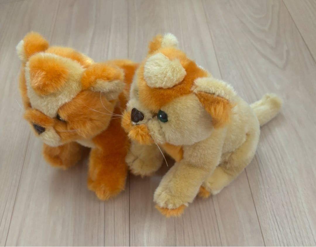 ⭐︎MISIA ハートのレオナ⭐︎