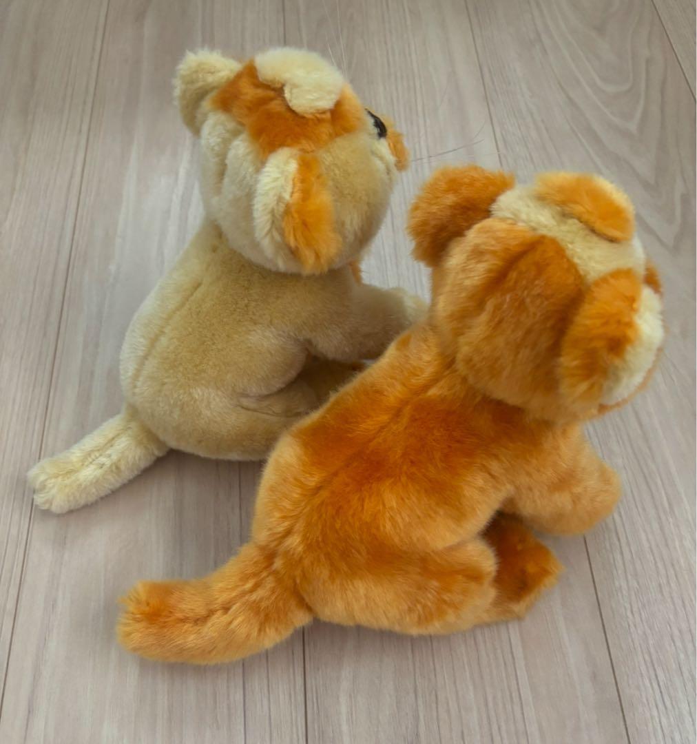 ⭐︎MISIA ハートのレオナ⭐︎