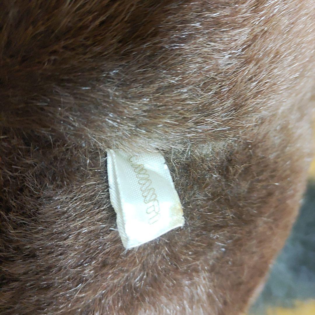 競馬　トウカイテイオー　レア　ぬいぐるみ　2L　日本ダービー