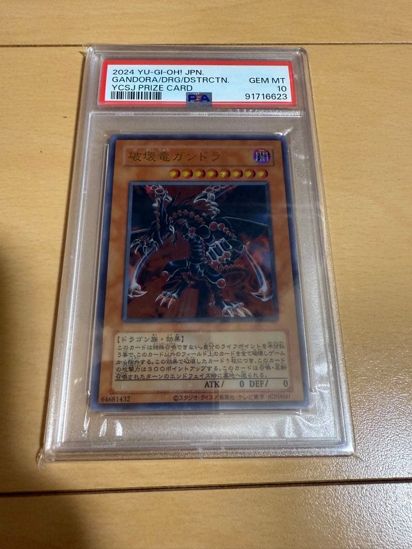 LVMH　PSA10 破壊竜ガンドラ ステンレス YCSJ 大会