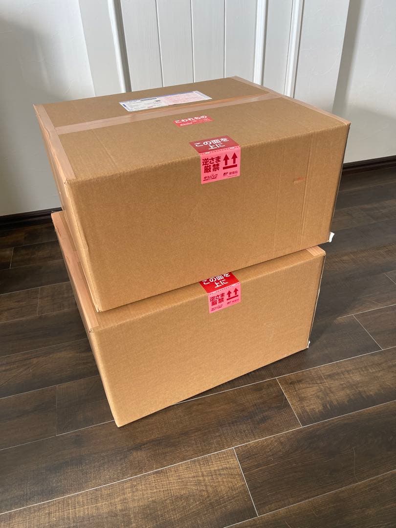 【新品 未開封】スパイスシード カイオウ 騎乗ver. 50cm 大型　ラオウ兄