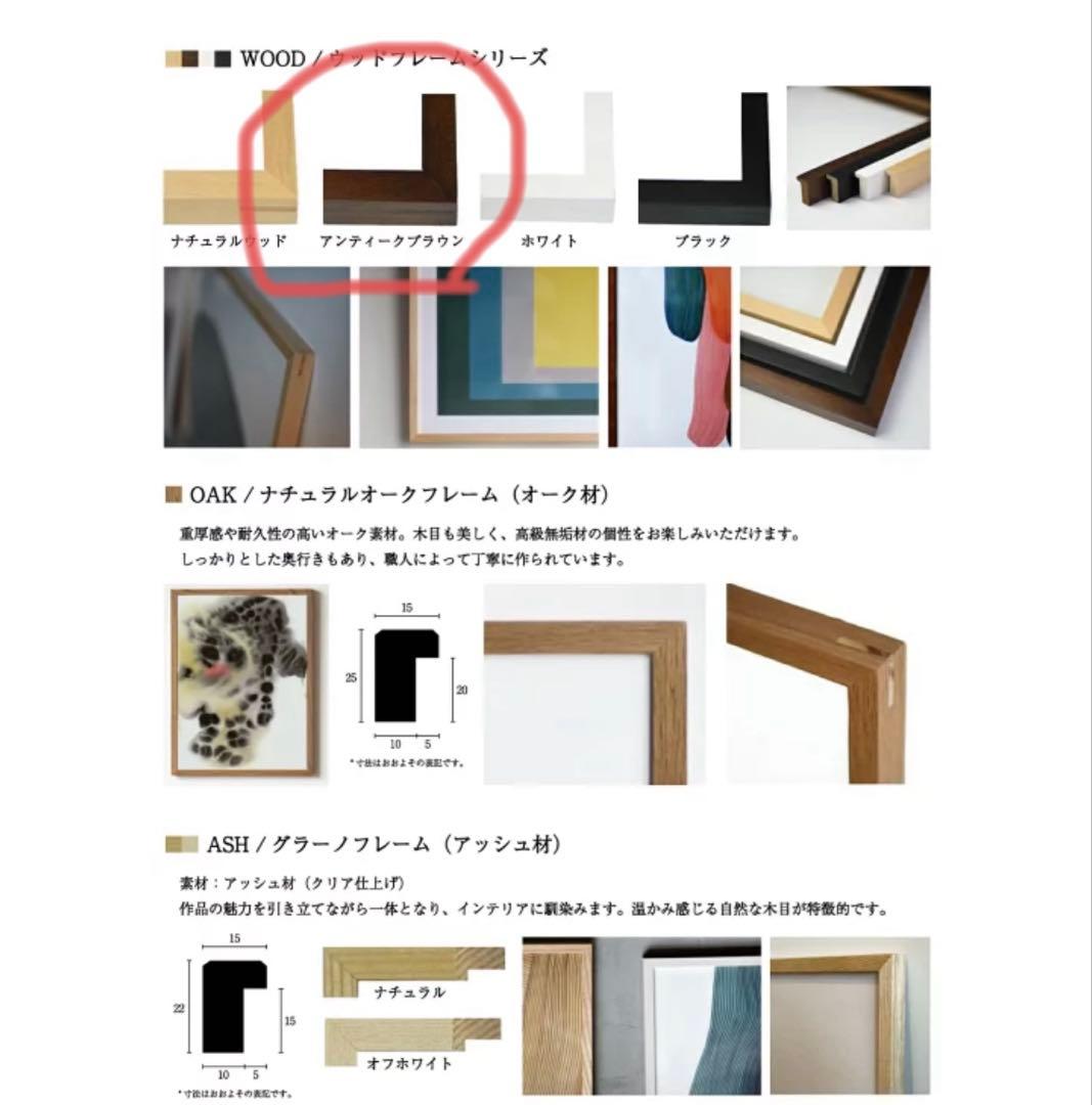 WRONGSHOP ロナン・ブルレック Drawing 5特注フレームセット