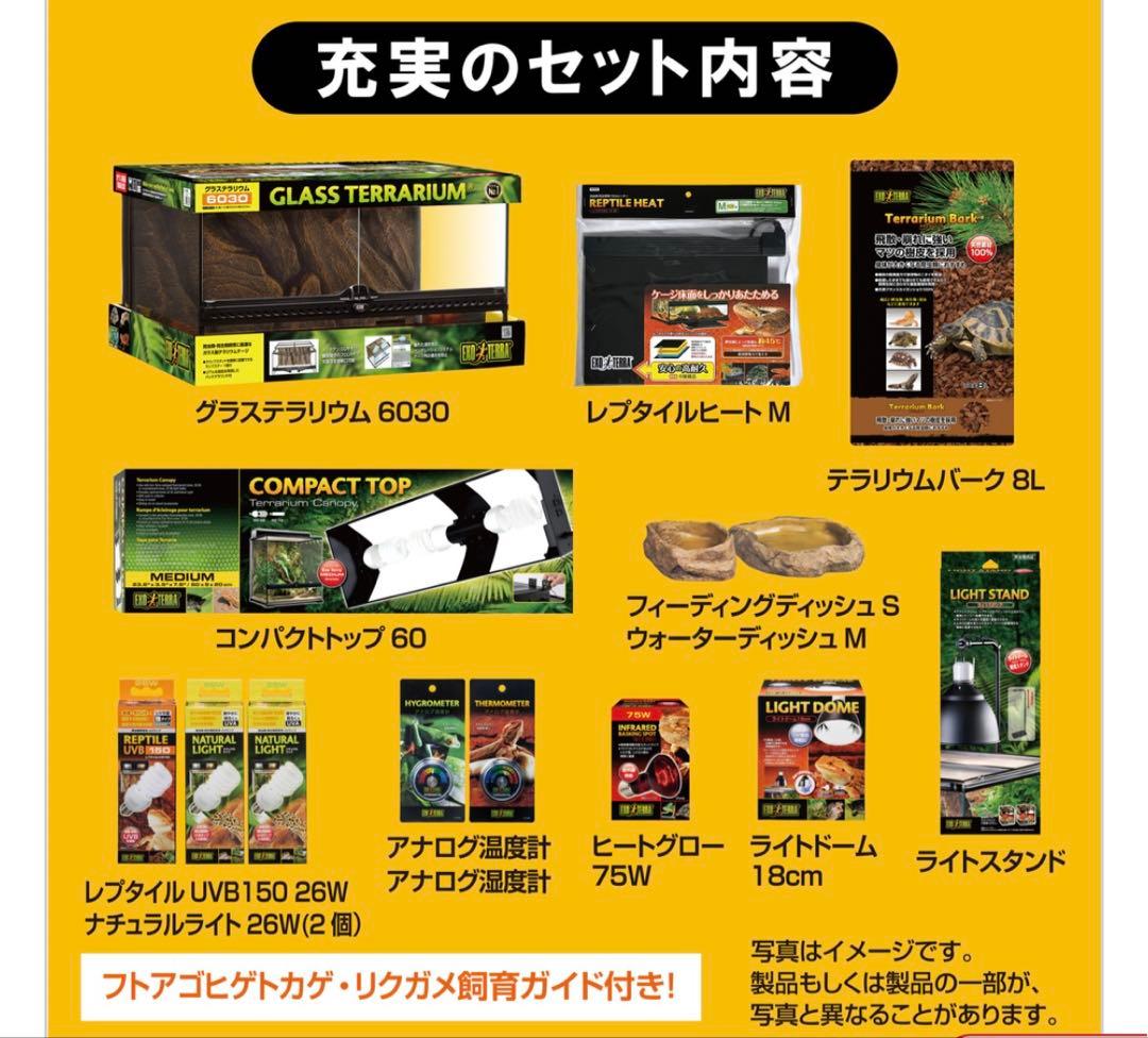 【0825】GLASS TERRARIUM 6030 飼育セット