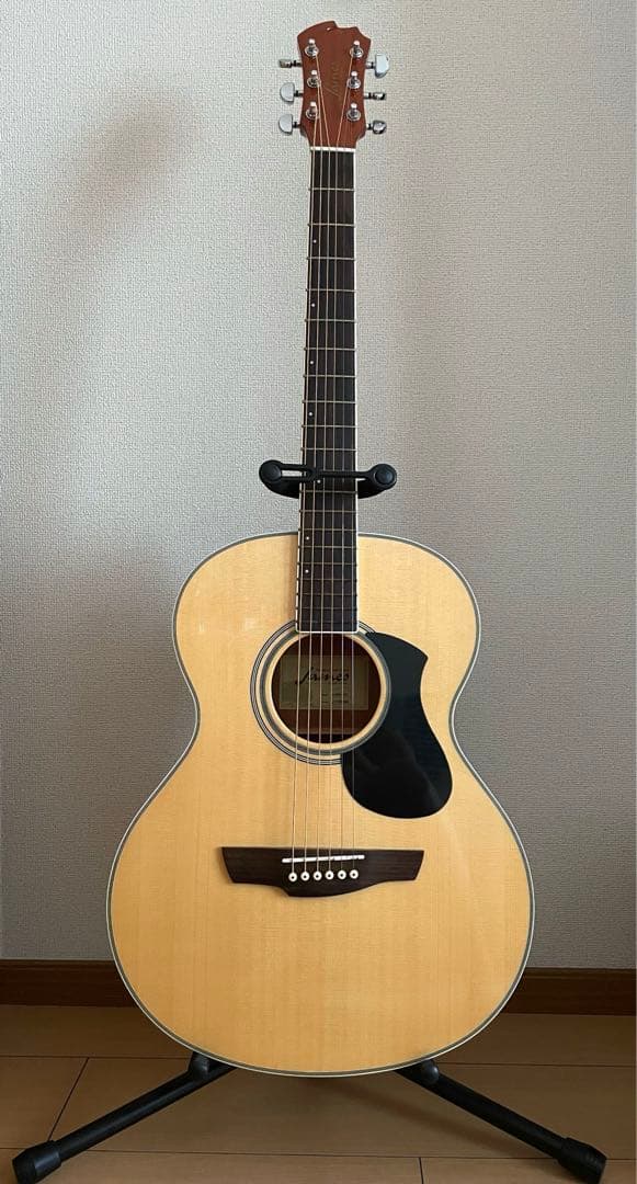 【未使用】アコースティックギター　初心者セット ギター James