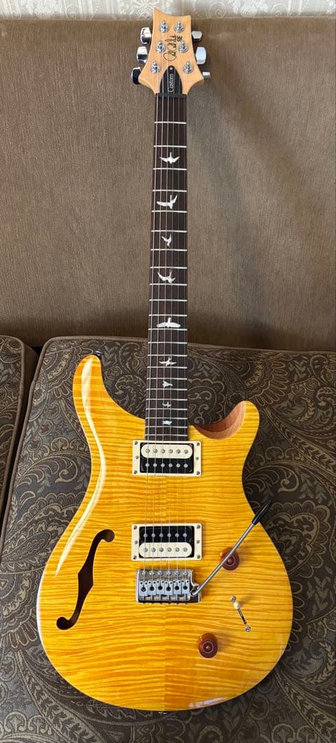 ギター PRS SE Custom 22 Semi-Hollow