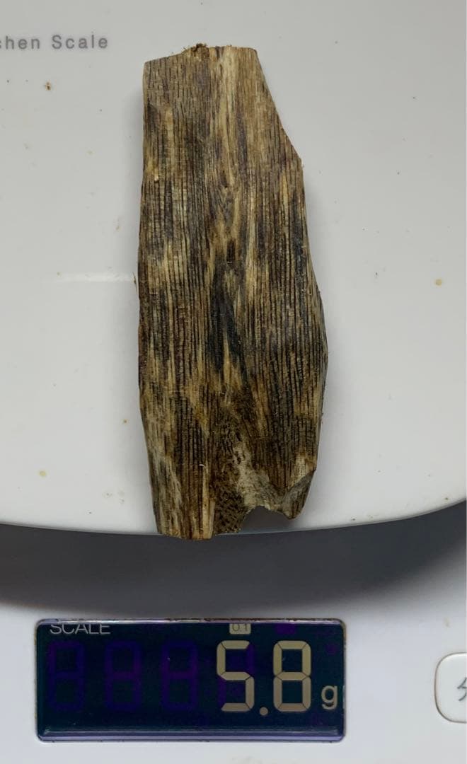 極上緑油伽羅 沈香原木 香木 重さ:5.8g (高ランク本物証明)