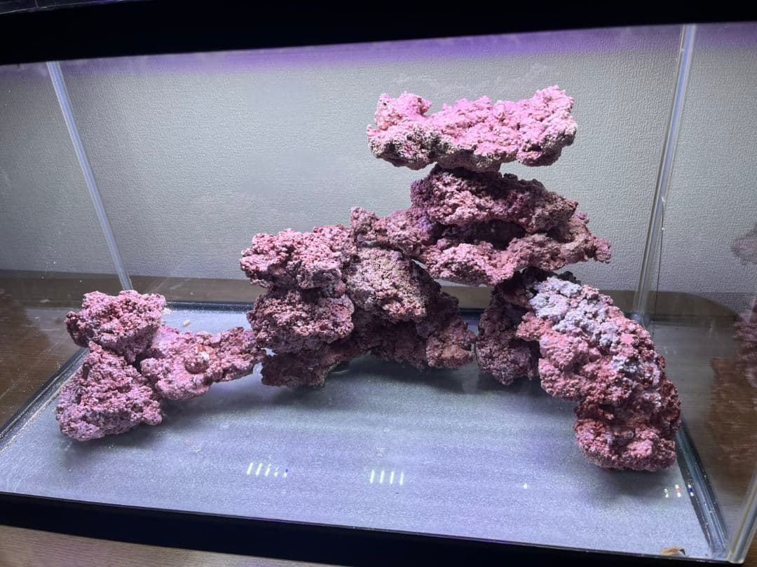 人工ライブロック　60cm水槽ぴったりセット