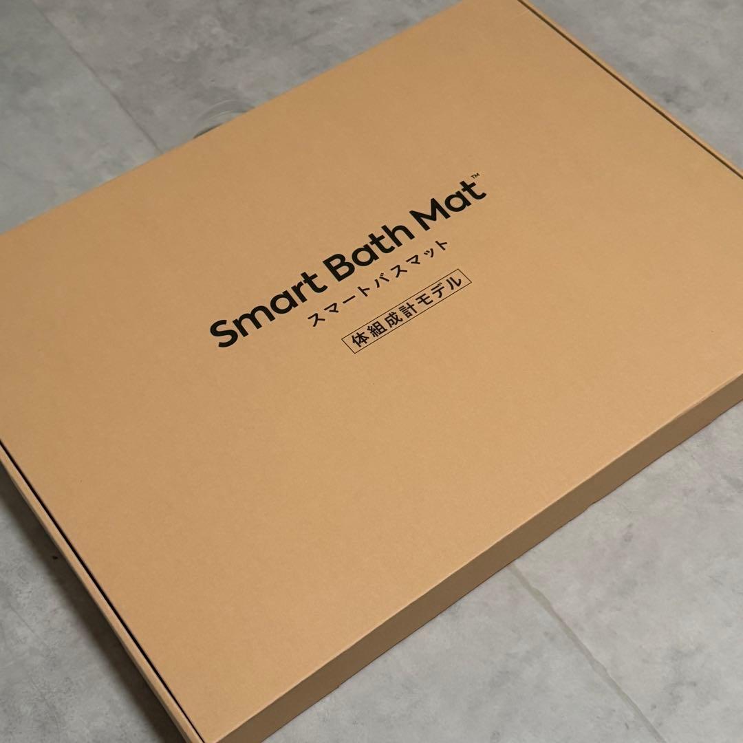 新品 issin スマートバスマット 体組成計モデル 珪藻土マット（グレー）
