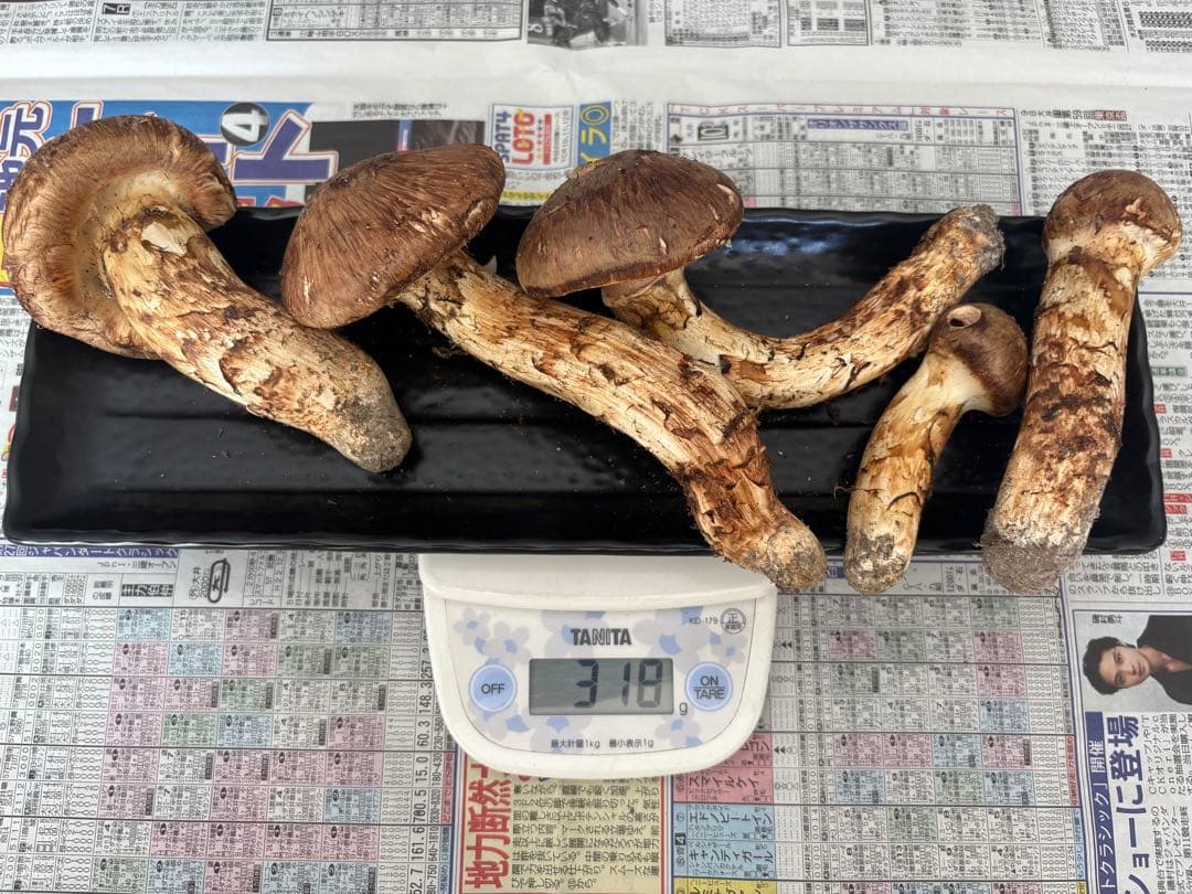 しげる様　依頼品