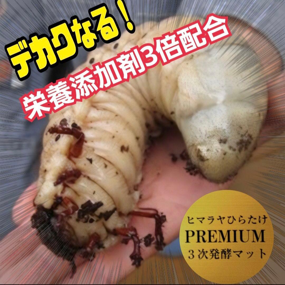 【２セット】カブトムシ幼虫を入れるだけ！プレミアム発酵マット入り㍑ボックス