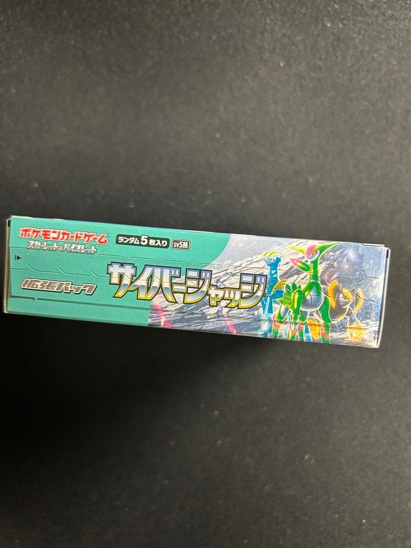 惑*ル様 レッドのピカチュウ　psa10 ポケカ　まとめ　大量