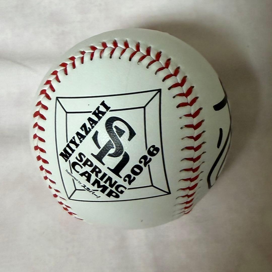 福岡ソフトバンクホークス 徐若熙 直筆サインボール 宮崎限定