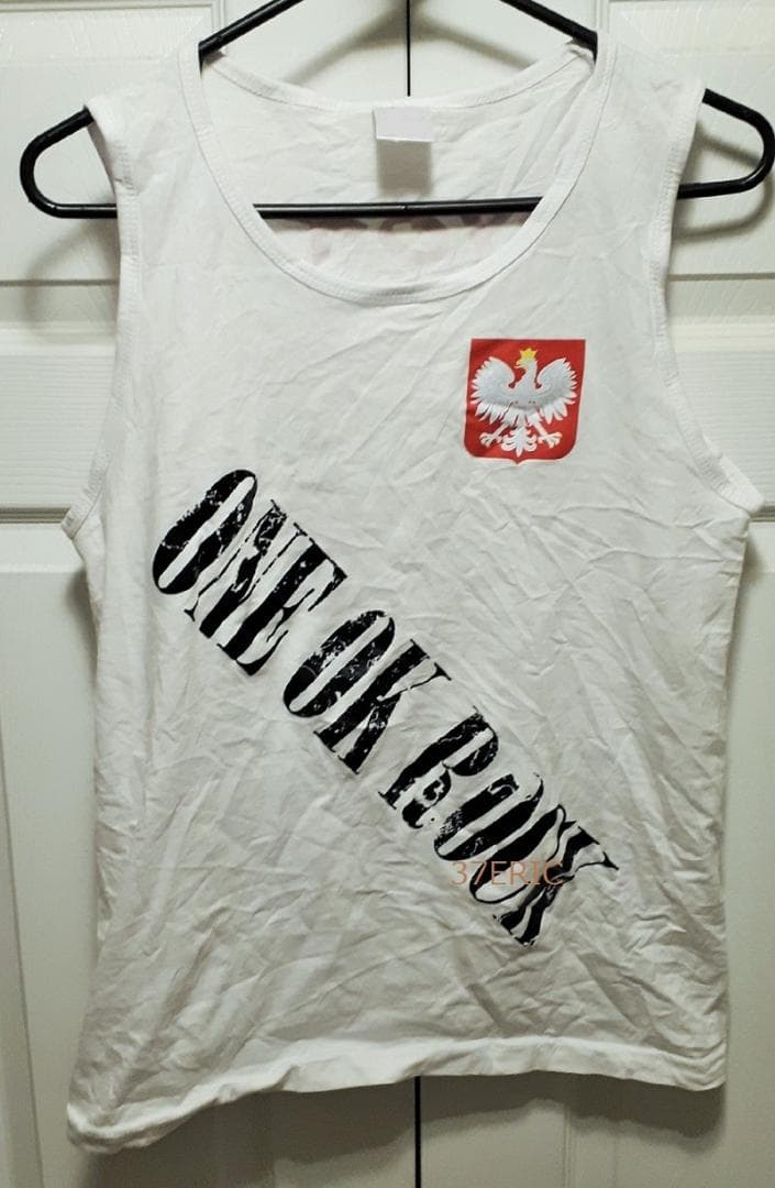 ONE OK ROCK ワンオクロック EU公演 RYOTA 実着用 シャツ