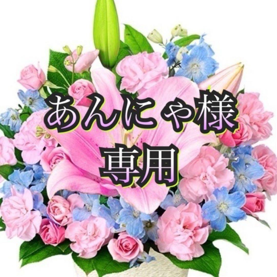 あんにゃ　冷蔵庫&洗濯機セット