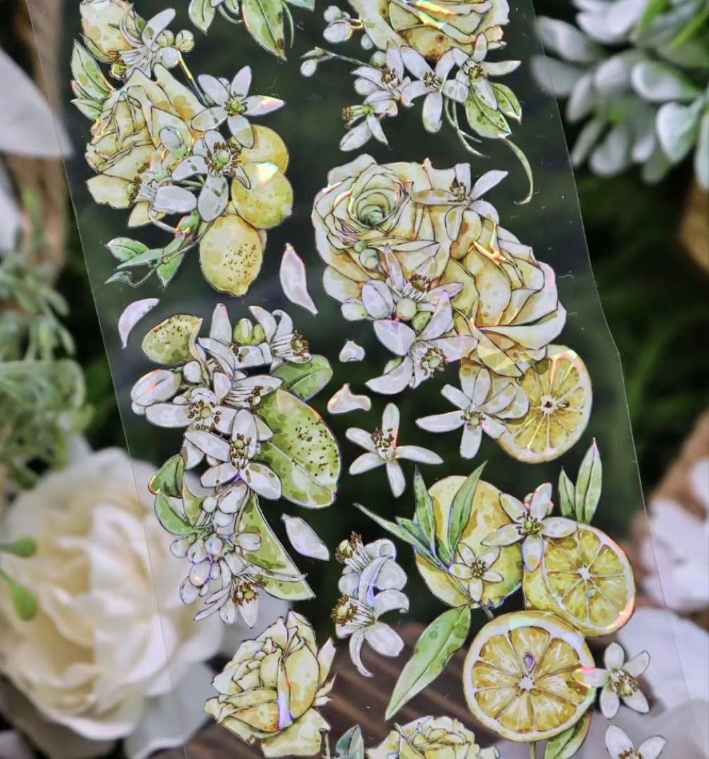 海外マスキングテープ巻売り 夏日香気 テディベア 人物マスキングテープ825