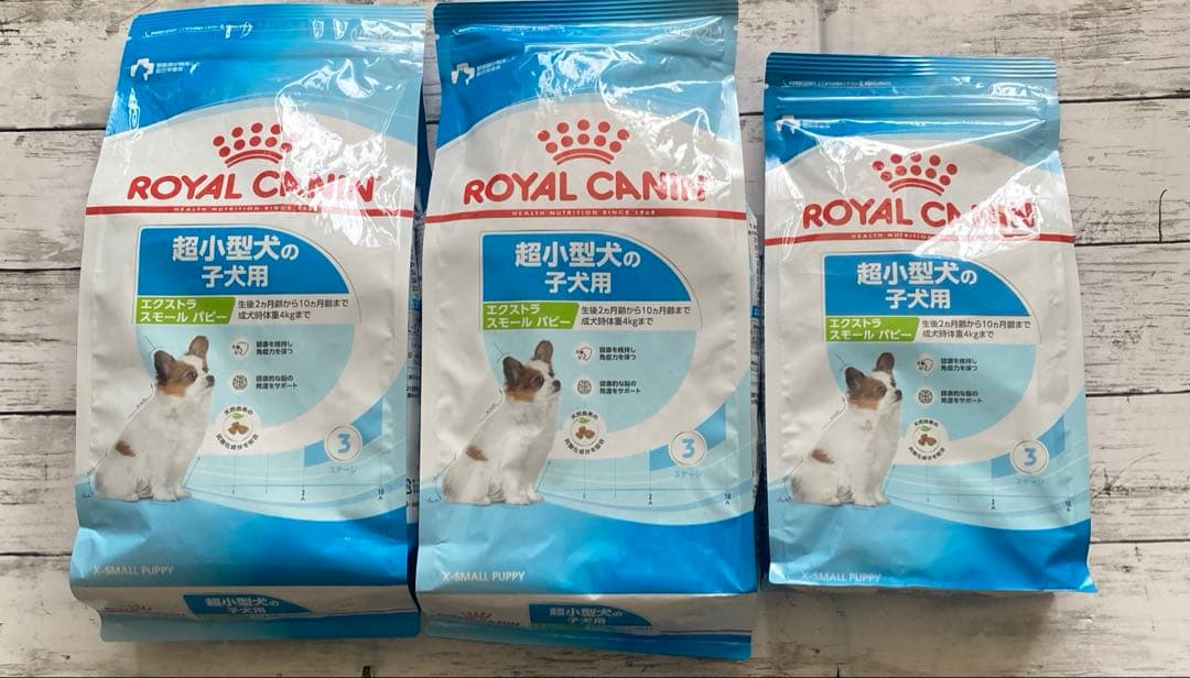  CANIN エクストラスモールパピー1.5kg ×2袋800g 1袋