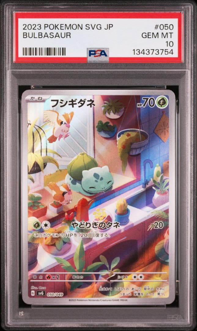 PSA10 3連番 御三家 フシギダネ ヒトカゲ ゼニガメ AR　①