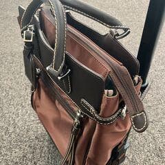 スワニー　ウォーキングキャリーバッグ　フォルティーノ　（XS）