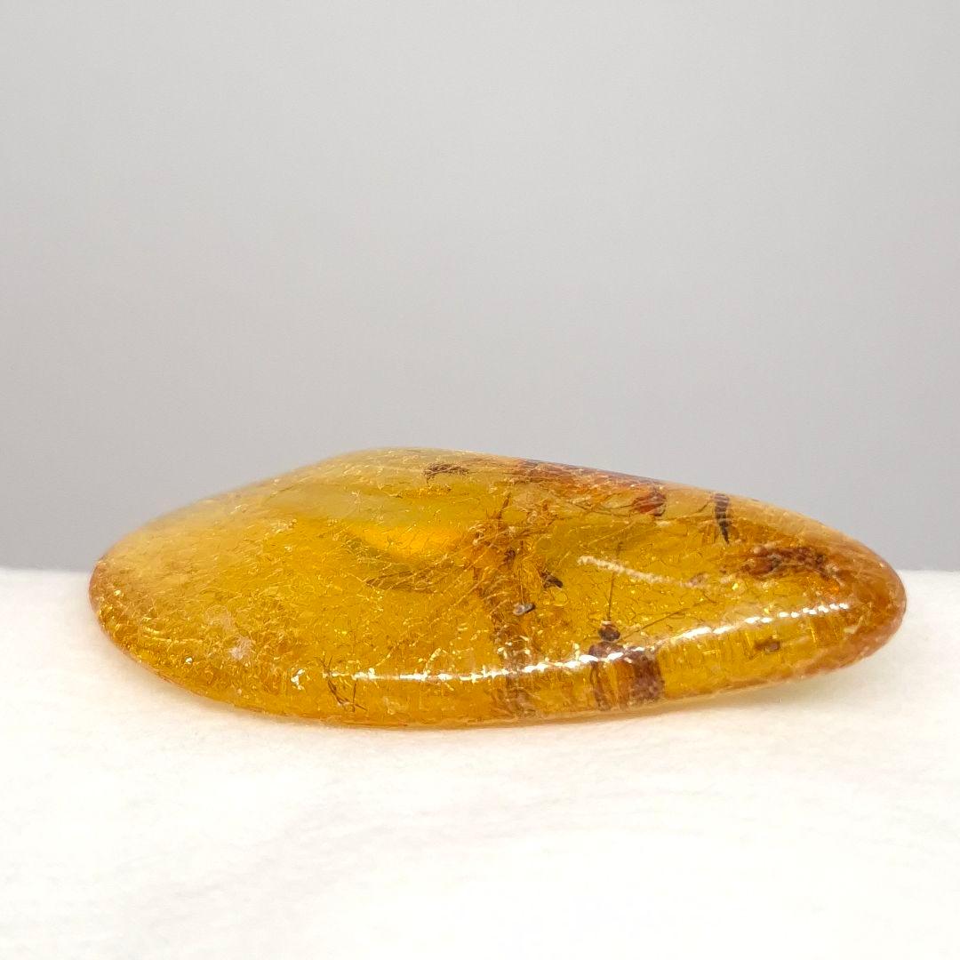 美品 虫入り コーパル 化石 天然 マダガスカル海産 51.16mm cp3