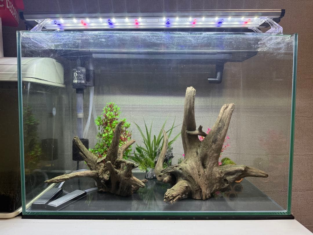 水槽　セット販売　60センチ水槽　流木2個　その他
