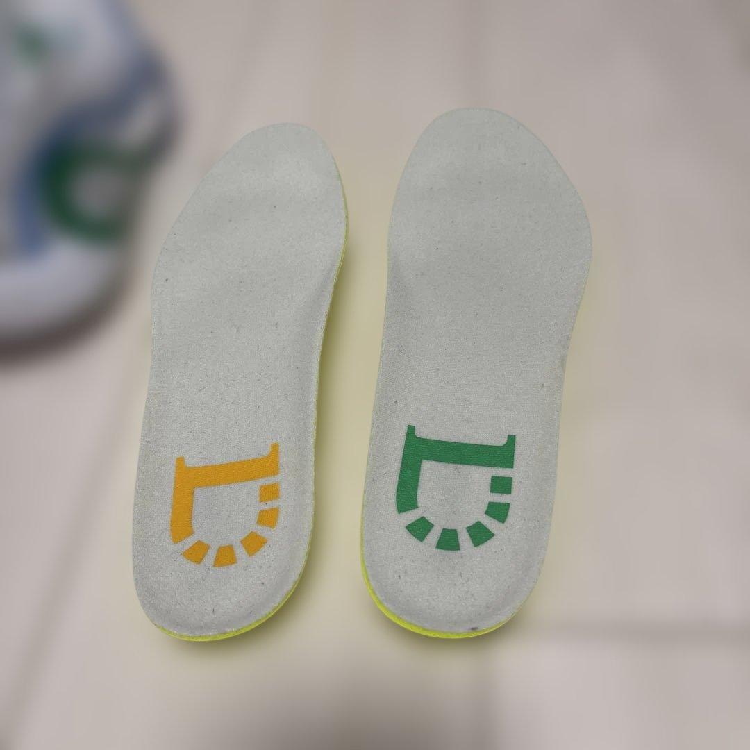 Way of Wade Dlo1 キャリア US9.5 27.0 リーニン