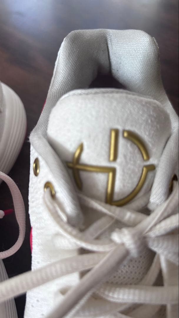 Nike HYPER DANK 2017✴︎Lunar New Year✴︎美品