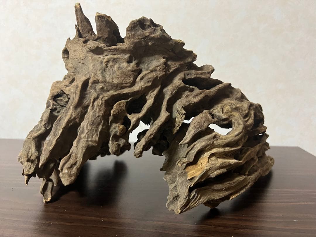 XM-321 流木マシンガンウッド　ブランチウッド　アクアリウム　沈水確認済