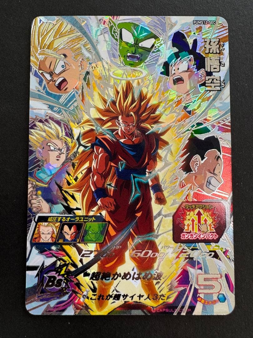 PUMS12-SEC 孫悟空