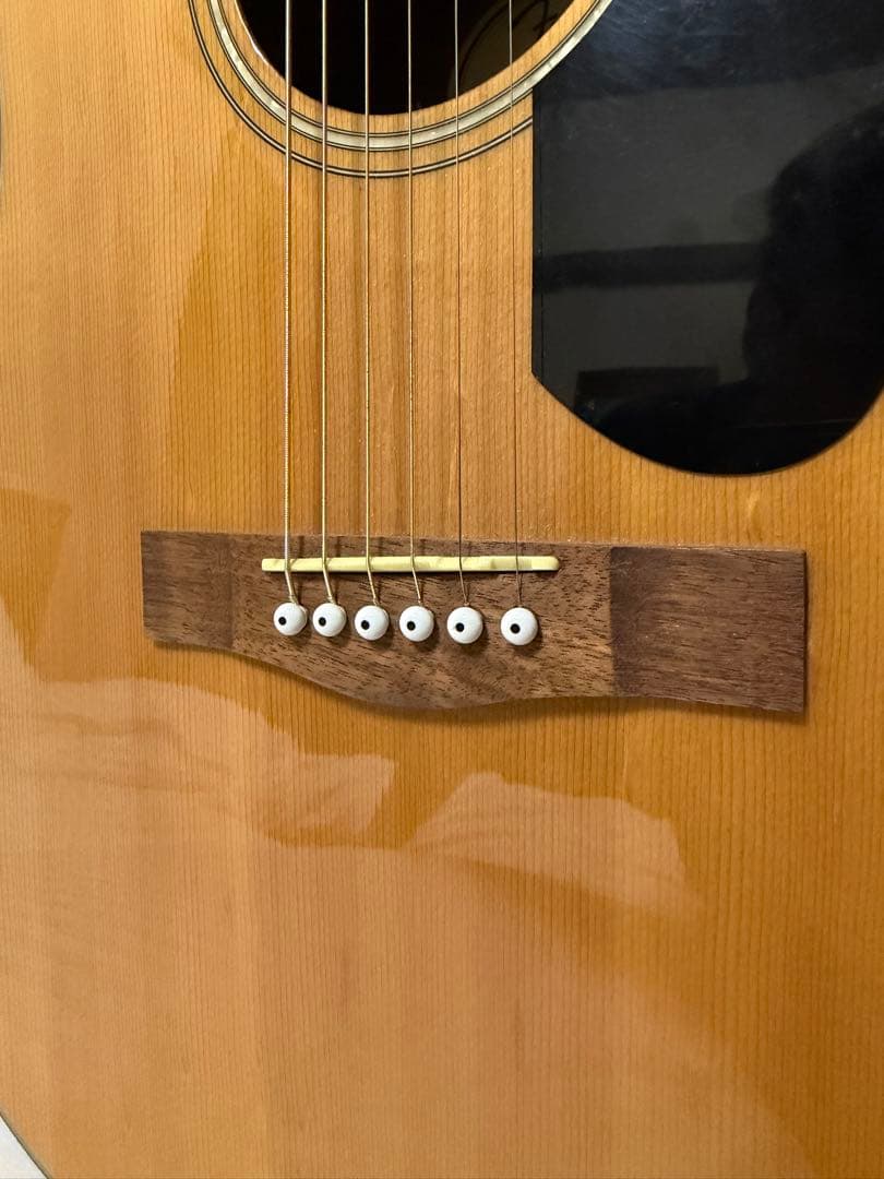 Fender CD-60s アコースティックギター ギターケース付き