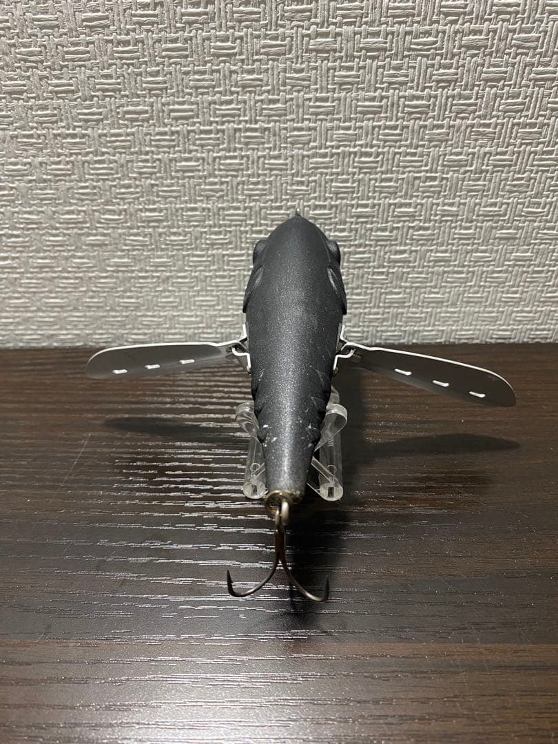 タエニア　TAENIA