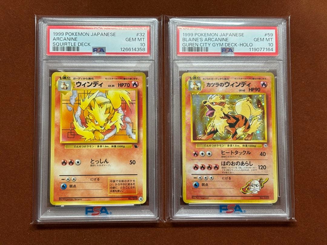 【超希少】中華ウインディ カツラのウインディ PSA10 イントロパック 旧裏