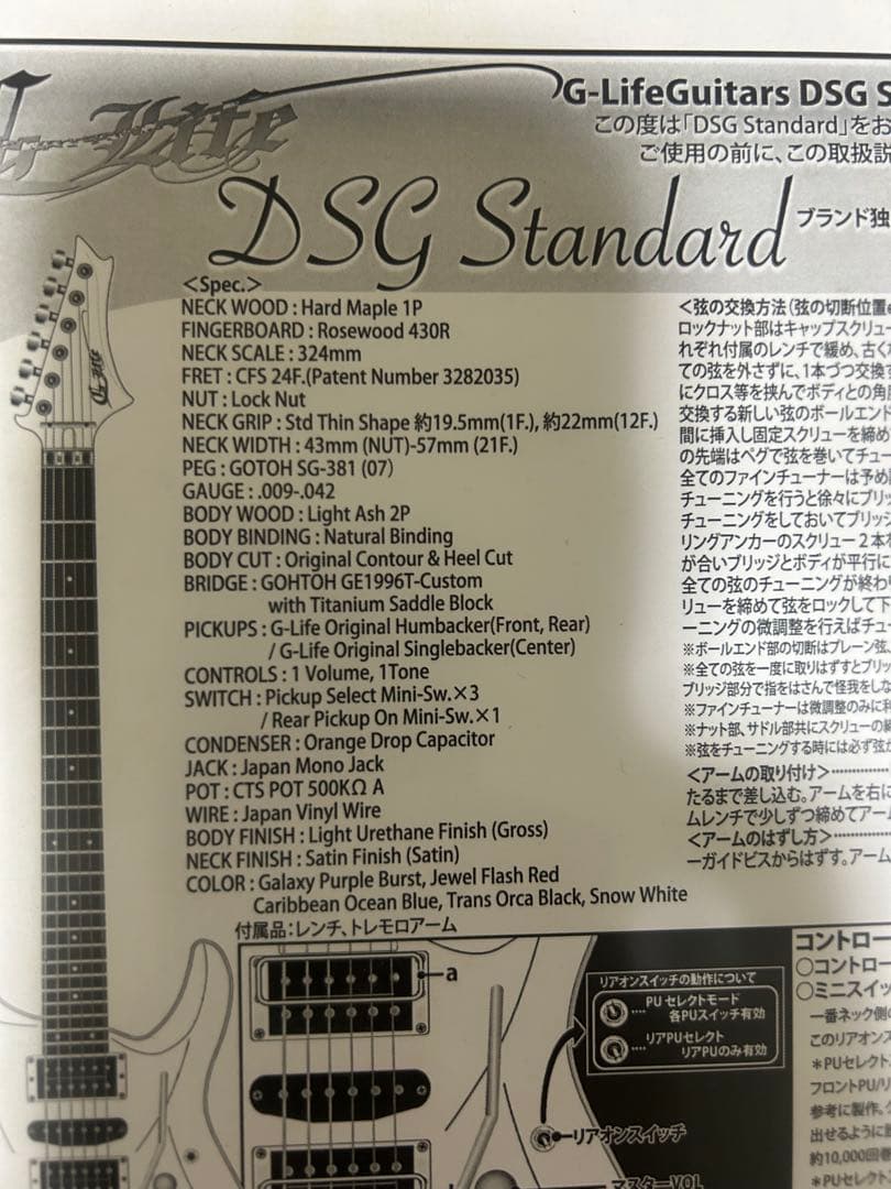 ギター DSG Standard Ash /  White