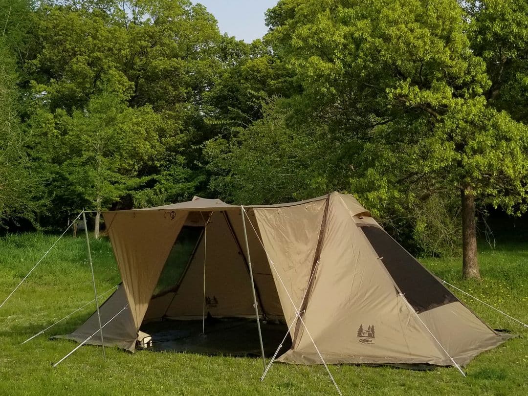 ogawa オガワ ツインクレスタ