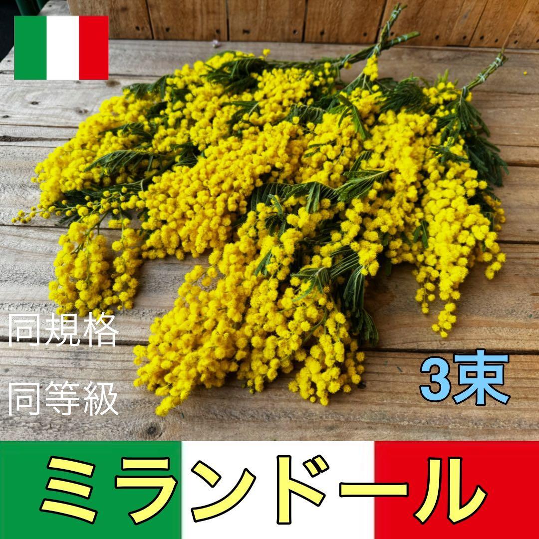 cutemio様 リクエスト 5点 まとめ商品